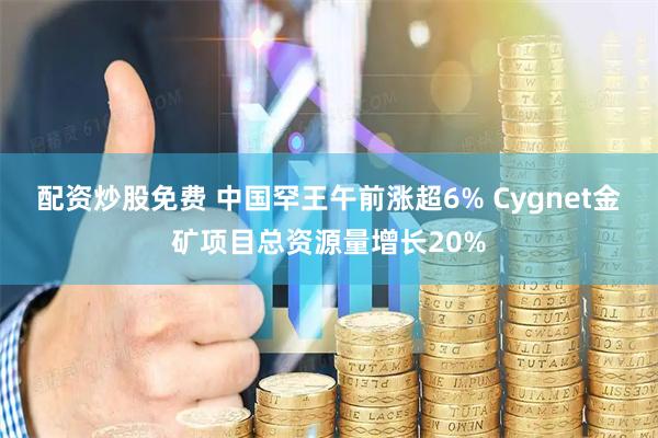 配资炒股免费 中国罕王午前涨超6% Cygnet金矿项目总资源量增长20%